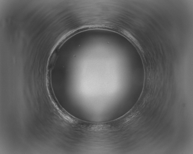X0000051261093200507011712