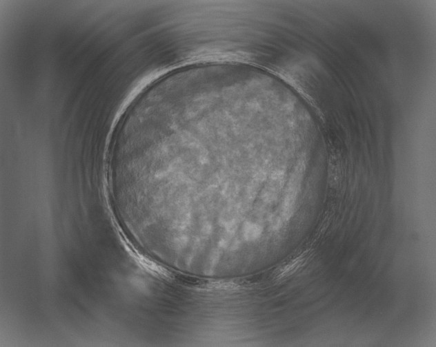 X0000051261094200507011712
