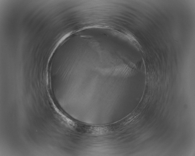 X0000051261095200507011712