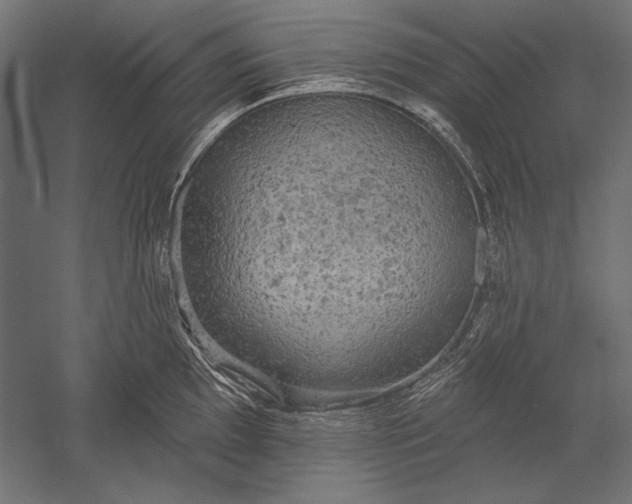 X0000051261097200507011712