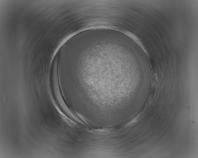 X0000051261101200507011712