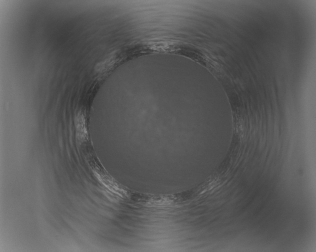 X0000051261106200507011711
