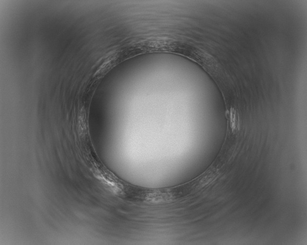 X0000051261107200507011711