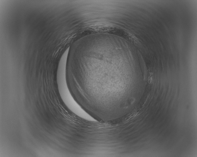 X0000051261108200507011711