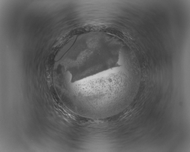 X0000051261109200507011711