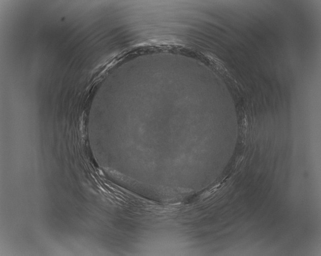 X0000051261110200507011711