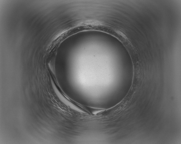 X0000051261112200507011711