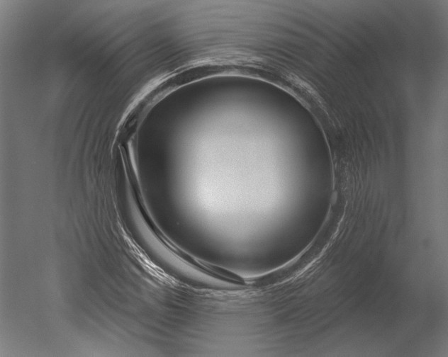 X0000051261114200507011711
