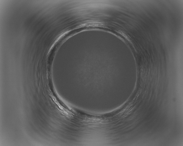 X0000051261115200507011711