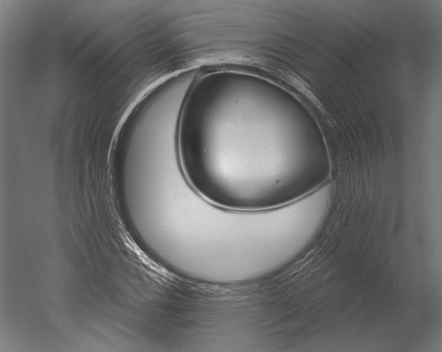 X0000051261116200507011711