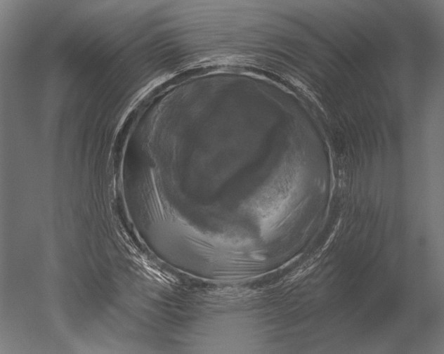 X0000051261117200507011711