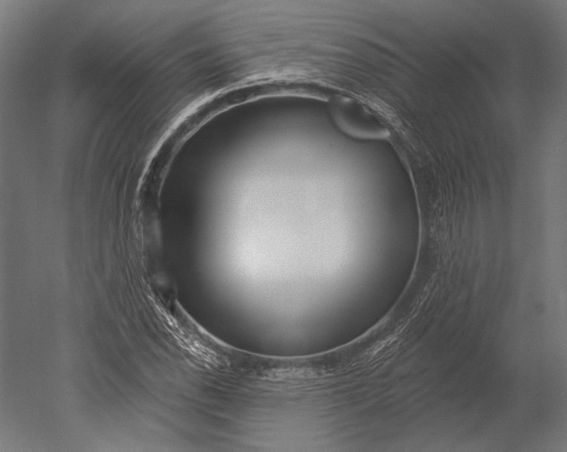 X0000051261118200507011711