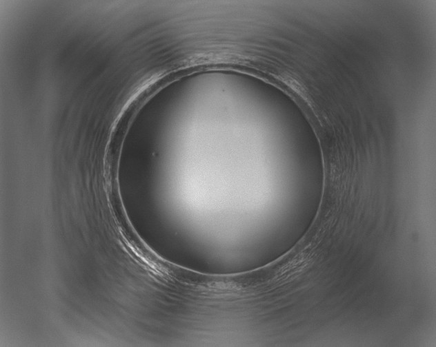 X0000051261119200507011711