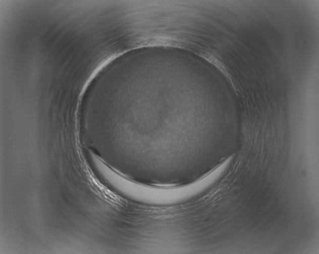 X0000051261120200507011711