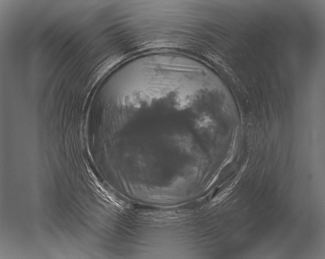 X0000051261121200507011711