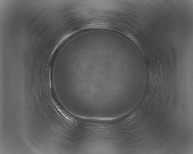 X0000051261123200507011711