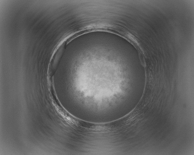 X0000051261124200507011711