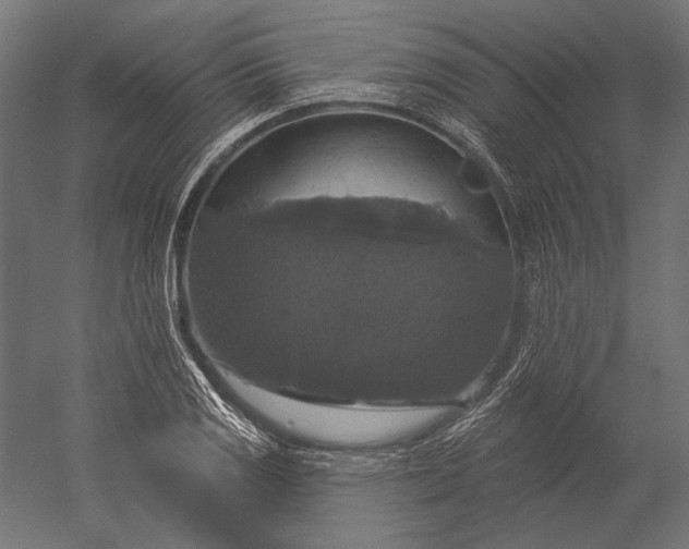 X0000051261125200507011711