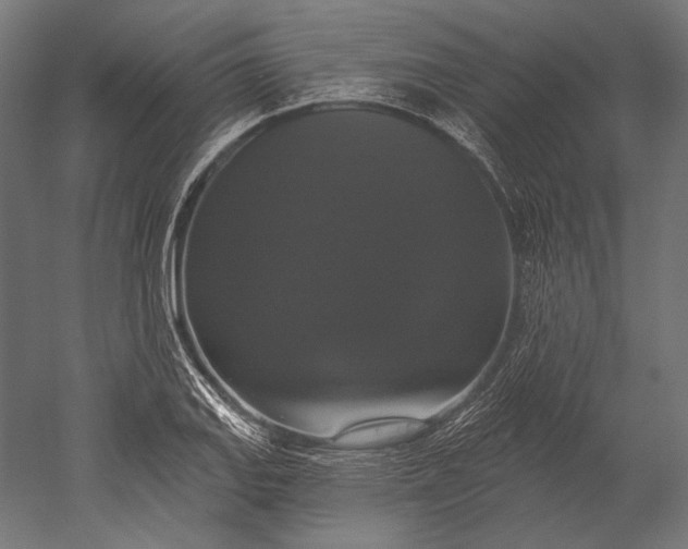 X0000051261127200507011711
