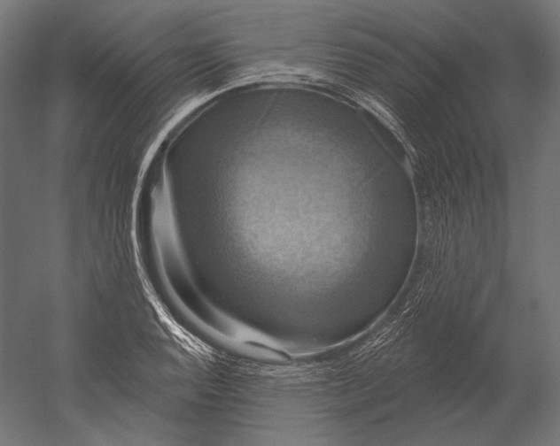 X0000051261128200507011711