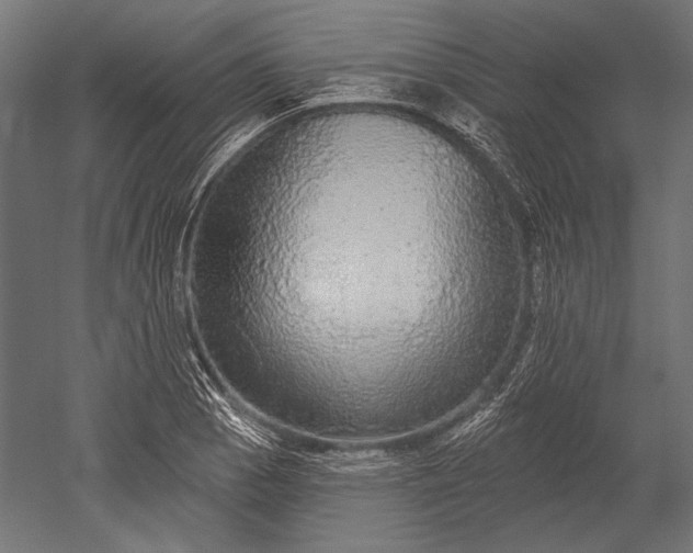 X0000051261129200507011711