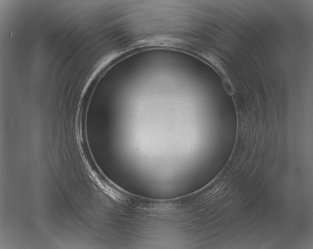 X0000051261131200507011711