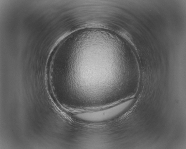 X0000051261133200507011711