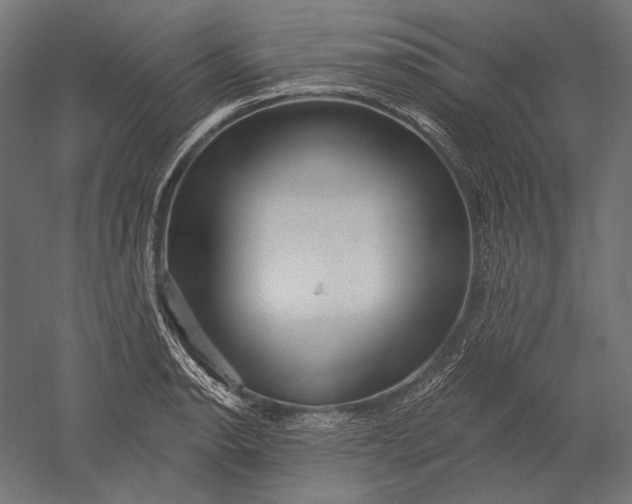X0000051261134200507011711