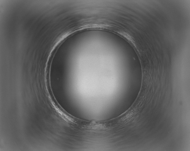 X0000051261135200507011711