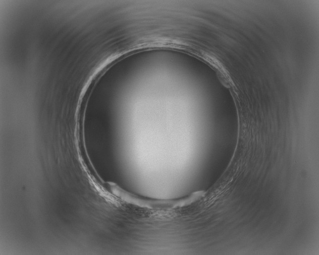 X0000051261136200507011711
