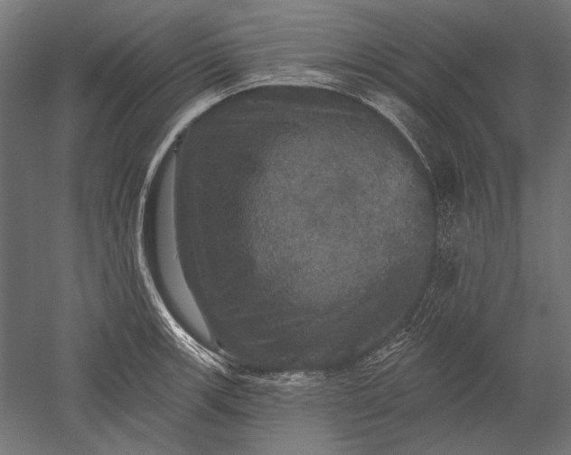 X0000051261139200507011712