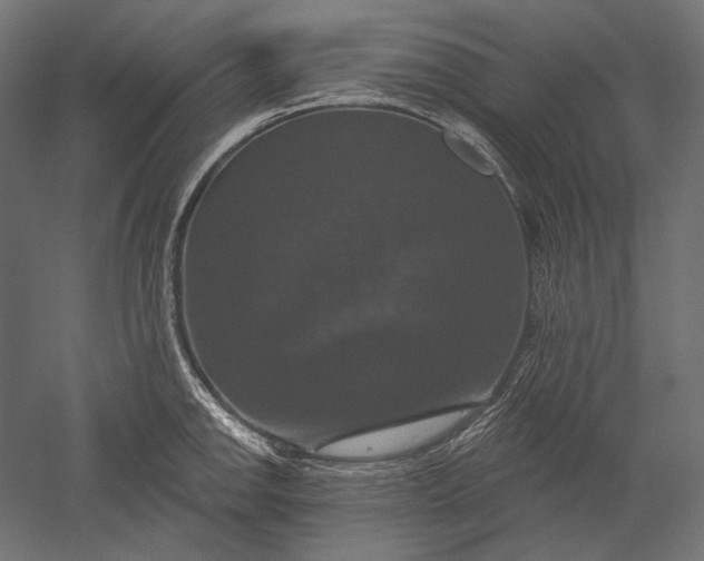 X0000051261142200507011712