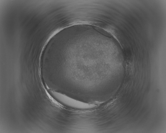 X0000051261143200507011712