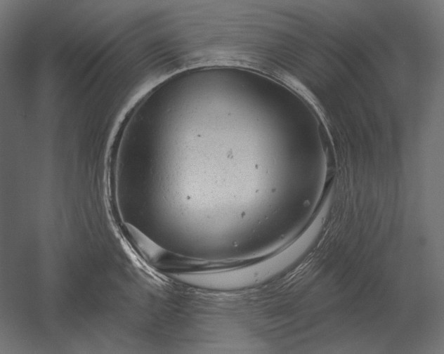 X0000051261144200507011712