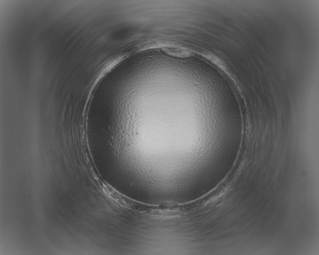 X0000051261145200507011712