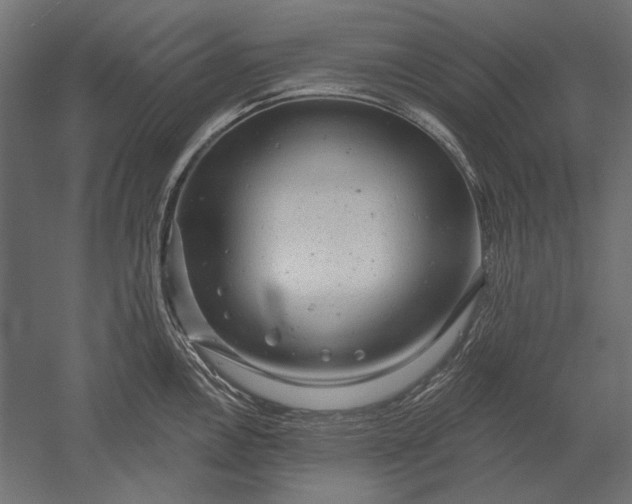 X0000051261146200507011712