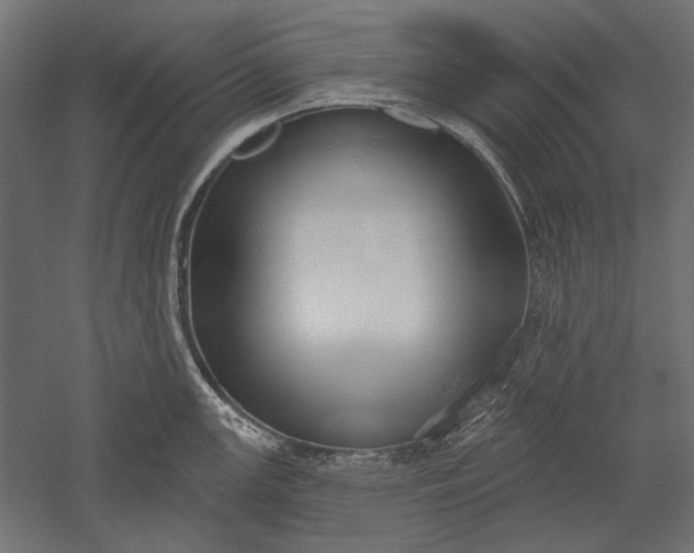 X0000051261147200507011712