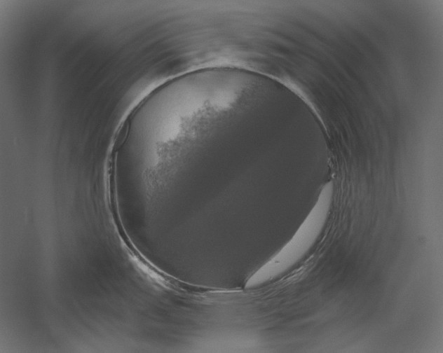 X0000051261151200507011712