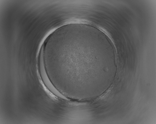 X0000051261152200507011712