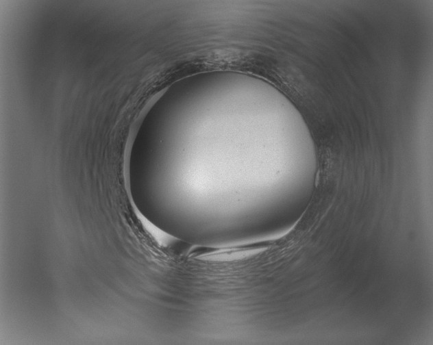 X0000051261153200507011711