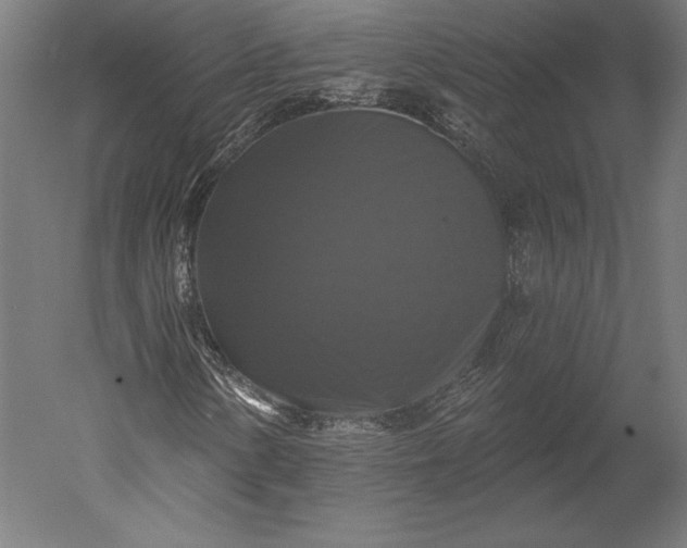 X0000051261154200507011711
