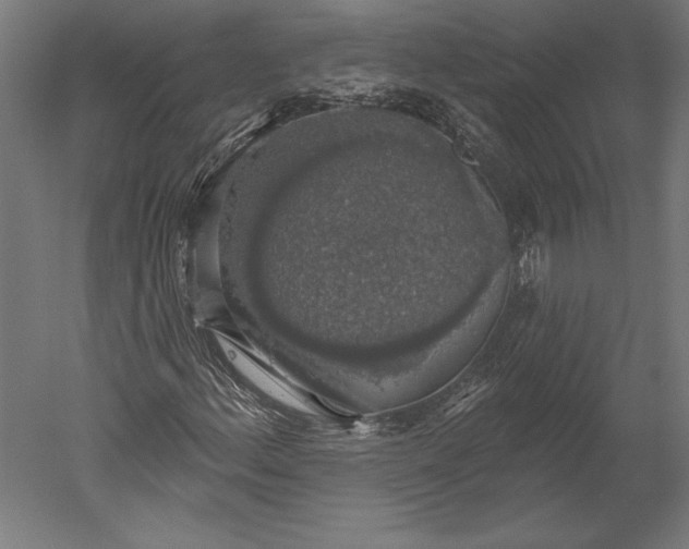 X0000051261156200507011711