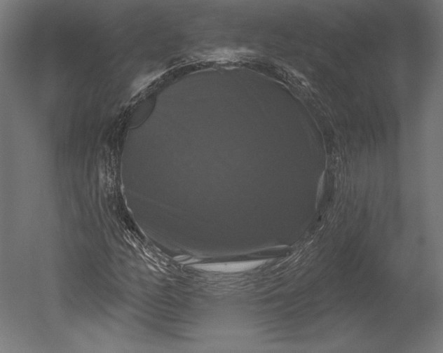 X0000051261158200507011711