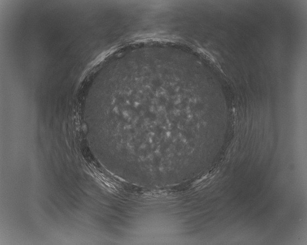 X0000051261159200507011711
