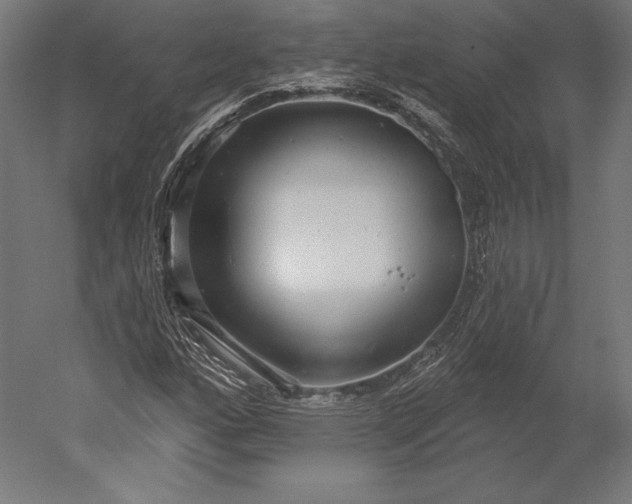 X0000051261160200507011711