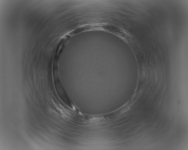 X0000051261161200507011711
