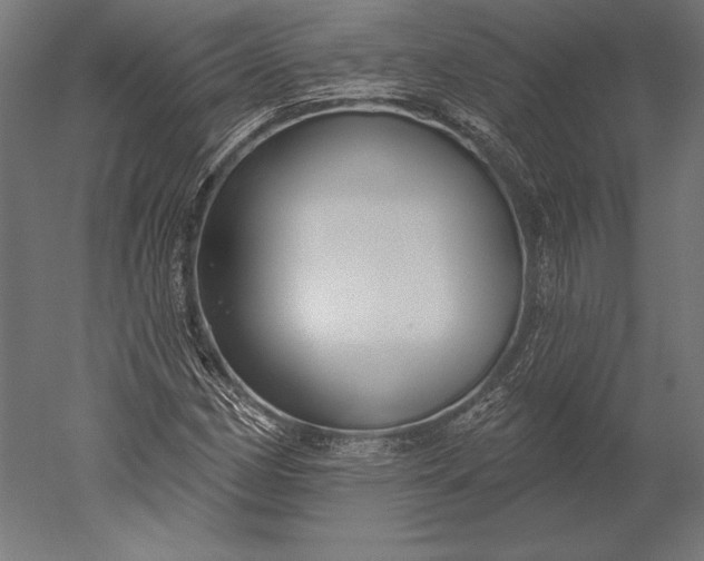 X0000051261162200507011711