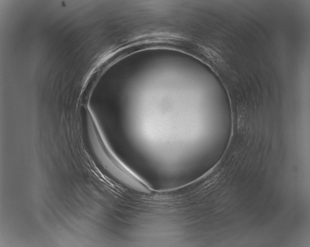 X0000051261164200507011711