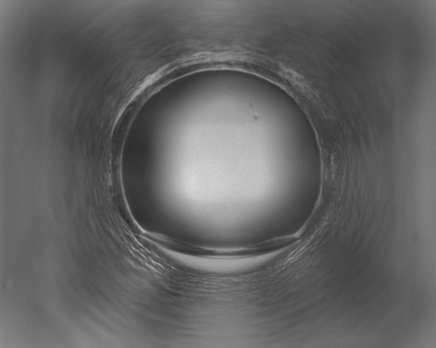 X0000051261165200507011711