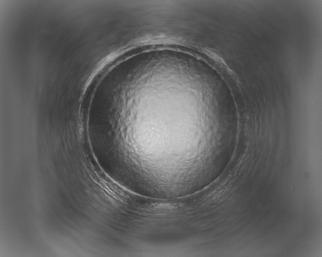 X0000051261167200507011711